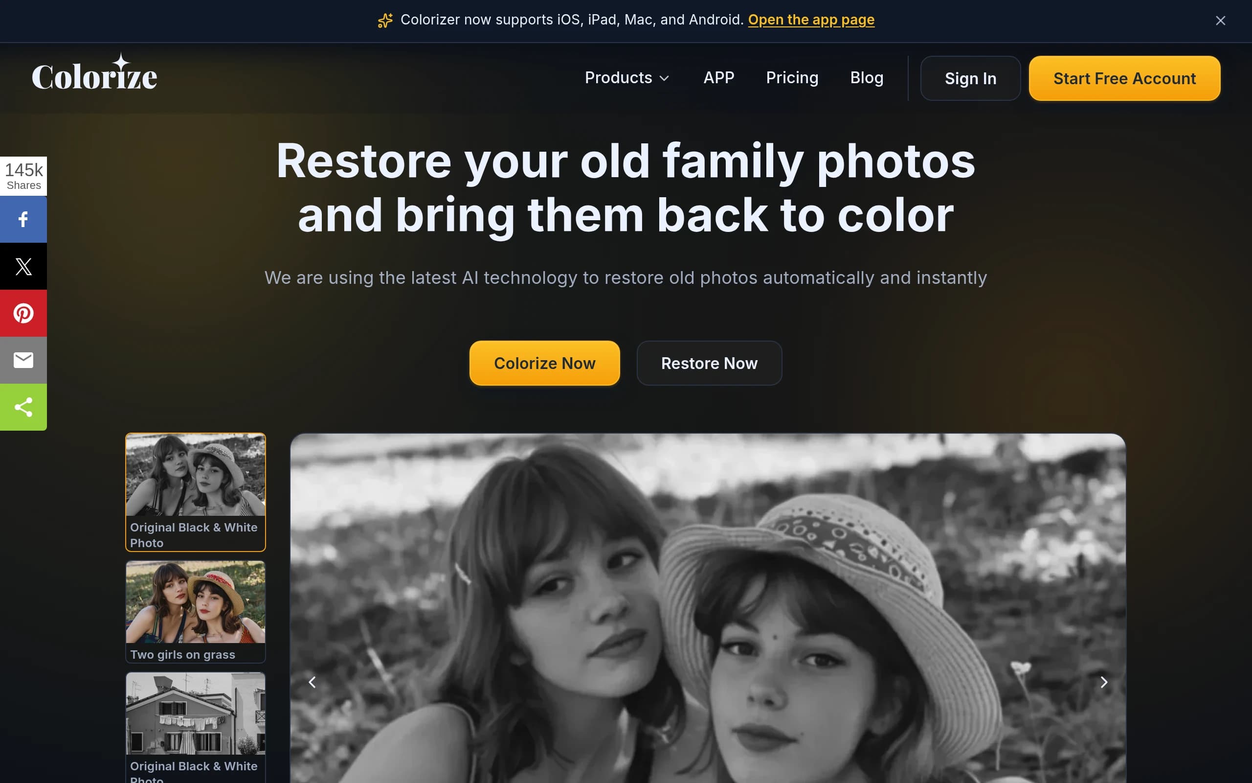 Imagecolorizer